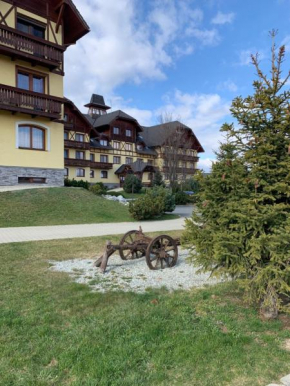 Cosy apartment in an excellent location Veľká Lomnica